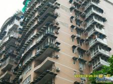 小龙坎天泽苑 带十堰树包 诚心出售