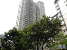 模范村 嘉新桃花里一房50万