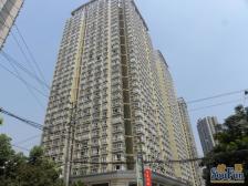 模范村 嘉新桃花里二房90万