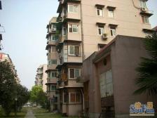 新牌坊 环线 3号线 4号线 住家方便