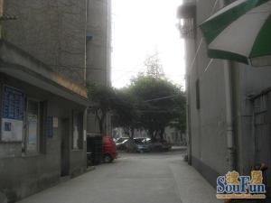 育苗路11号3室2厅南