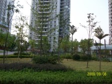 户型方正,出行方便,采光好,业主诚心出售