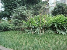 人和 金源利爱家苑二房