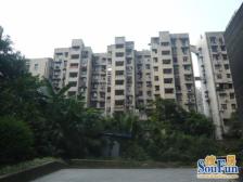 双轻轨+大三房+天台岗+珊瑚+成熟地段