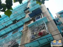 南坪商圈上海城, 10号线万寿路旁,天台岗+珊瑚