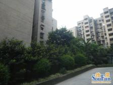 花园一村 2室2厅 东南