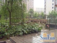 弹子石 金港尚城四房100万