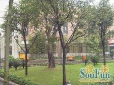 弹子石 金港尚城三房110万