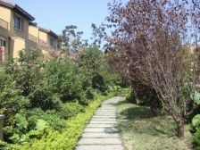 龙湖品质,新上联排端户,带花园。