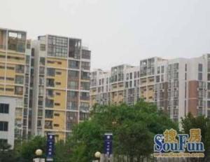 美好家园3室1厅东南