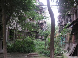 热电厂宿舍2室2厅南