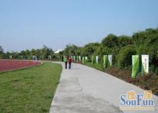 五角大楼 1室1厅 东