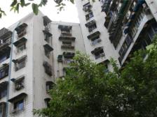 游轮母港大平层 50米轻轨四九号线 住家好选择