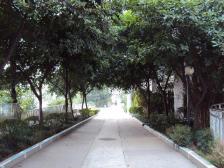 大石坝 沛东北陆新居三房86.5万