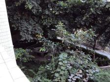 大石坝 沛东北陆新居二房