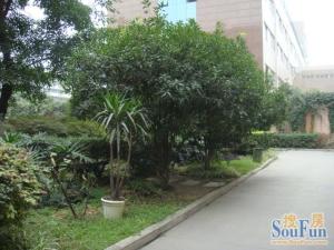 锦西雅苑 2室2厅 南