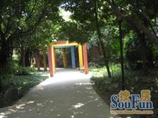 枫林苑 3室1厅 西南