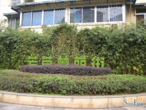 彩虹街61号3室1厅东南