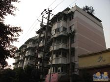 九里欣园 2室1厅 东北