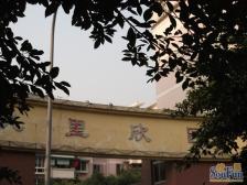 九里欣园 2室1厅 南