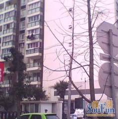 营福苑2室1厅东南