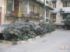 佳利花园一期 1室1厅 东南