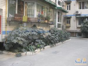 佳利花园一期1室1厅东南
