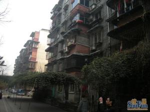 营康西路65号2室1厅东南西北东南西北