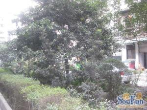 长兴街5号院3室1厅南