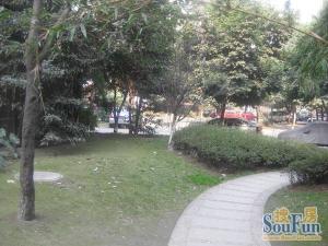 城市绿舟花园3室1厅东南