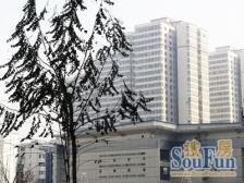 精装修 东北朝向 落地窗 光线充足 视野开阔