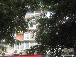 香都美地 2室1厅 南