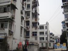 夫子庙,白鹭洲公园,夫子庙地铁站。阳光好。