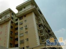 高层复式户型 采光通风好 带5米大阳台。