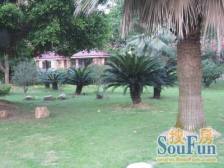 交通方便,生活配套完善,小区优美,有平台约60平方