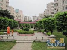 雅豪居电梯楼,装修新净,精致两房户型,总价低