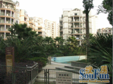 此房环境优雅,楼间距大,交通便利,出行方便