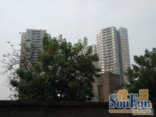 业主急售 安心卖 看房方便 配套齐全 大渡口公园