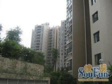 滩子口片区 广厦城D组团二房66万