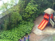 科园一街 1室1厅 北