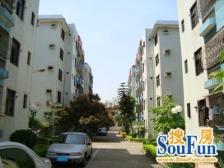 丽城花园 3室2厅 东南