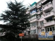 高区采光好 电梯一房 有钥匙随时看房