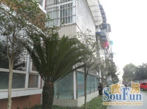 书香庭苑 3室1厅 南