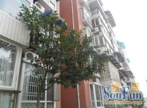 书香庭苑 3室2厅 东北