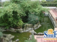 人和 人兴支路三房55万