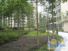 天鹅山庄综合楼 2室2厅 西南