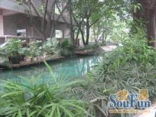 北山海洋馆原装电梯房,133平米只要43万,便宜哈