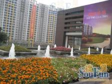 鲁能星城八街区 4室2厅 南 北