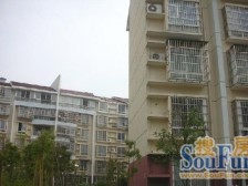 京东小区B区(蓝天公寓) 装修好,环镜优美 近地铁 周边匹套完善,,出行方便