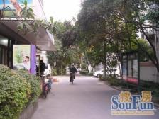 此房满五 原始电梯房 上下方便 户型通透 看房提前约